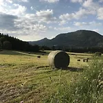 T2 Bis Avec Vue Au Mont-dore, Animaux Admis - Fr-1-608-182