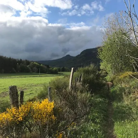 T2 Bis Avec Vue Au Mont-dore, Animaux Admis *