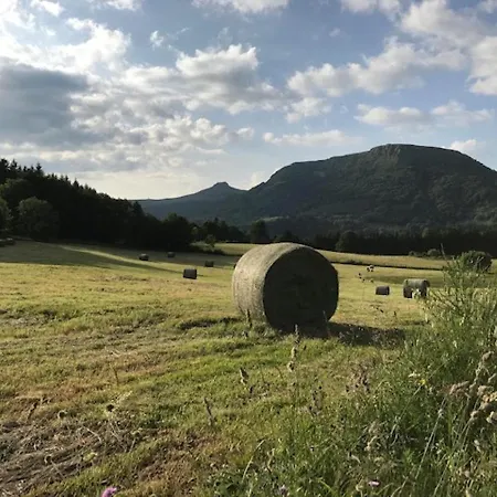 T2 Bis Avec Vue Au Mont-dore, Animaux Admis - Fr-1-608-182