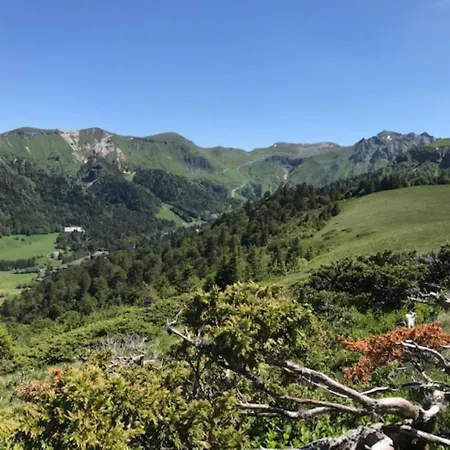 T2 Bis Avec Vue Au Mont-dore, Animaux Admis Apartment *
