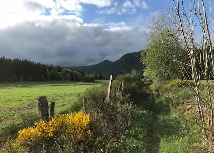 T2 Bis Avec Vue Au Mont-dore, Animaux Admis - Fr-1-608-182 *