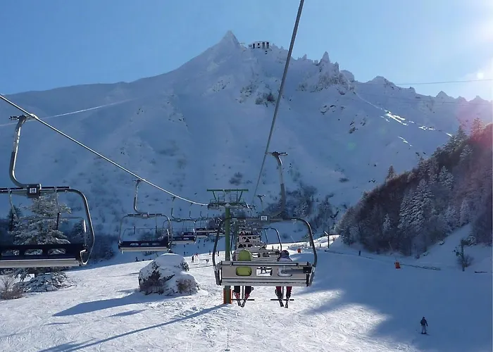 T2 Bis Avec Vue Au Mont-dore, Animaux Admis - Fr-1-608-182 *