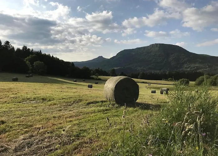 T2 Bis Avec Vue Au Mont-dore, Animaux Admis - Fr-1-608-182