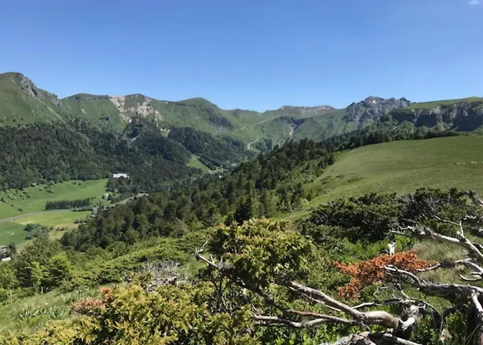 T2 Bis Avec Vue Au Mont-dore, Animaux Admis - Fr-1-608-182 Apartamento *