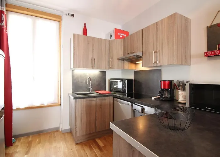 T2 Bis Avec Vue Au Mont-dore, Animaux Admis - Fr-1-608-182 * Mont-Dore